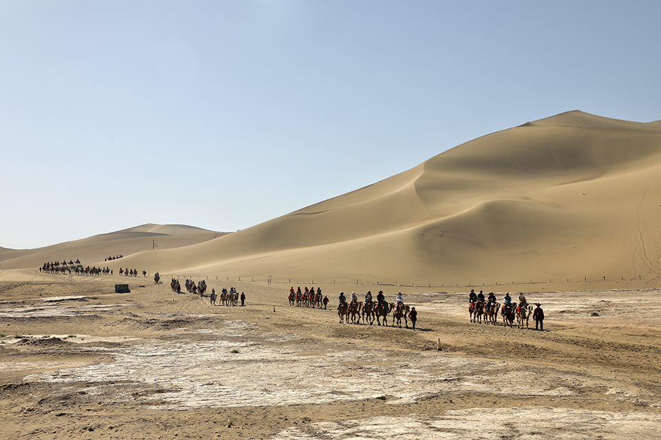 1648450101656127.jpg 微信图片_20210721160354.jpg