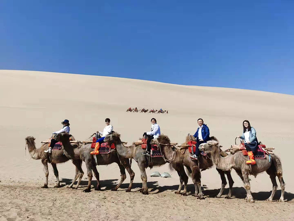 1648450296429870.jpg 微信图片_20210721163810.jpg