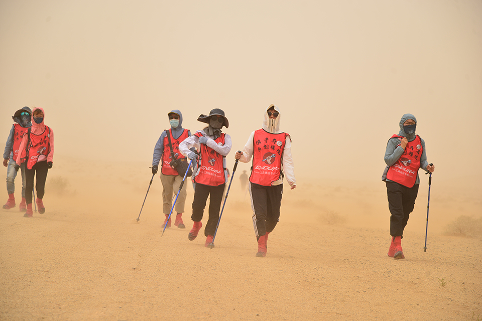 1648450741154052.jpg DSC_1251.jpg